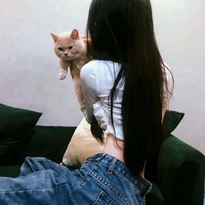失落的人生封面
